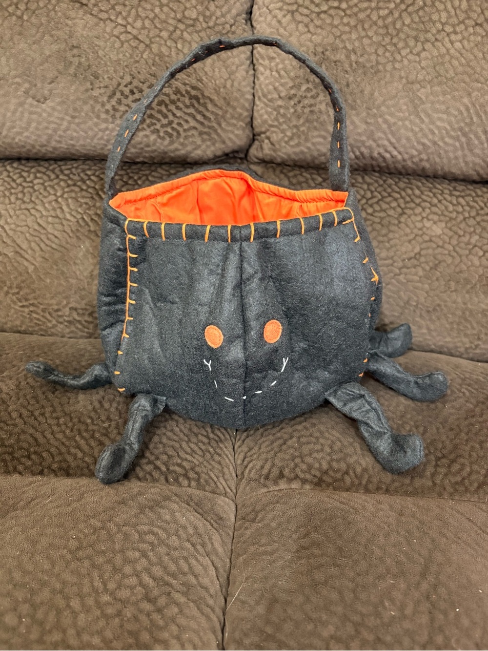 Pottery Barn Kids Black Felt Spider Treat Bag with Orange Lining